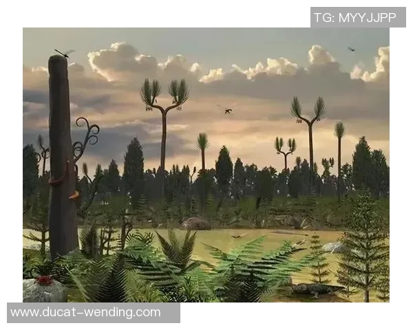 斯洛特：咱们知道越尽力越或许前进；咱们清楚森林的实力